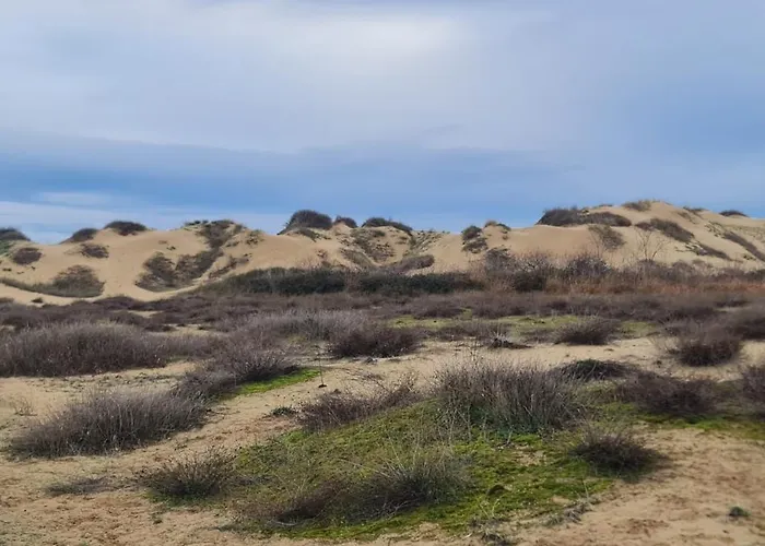 Sun, Sea, アパート