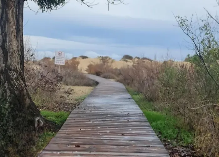 Apartment Sun, Sea, Slantschew brjag